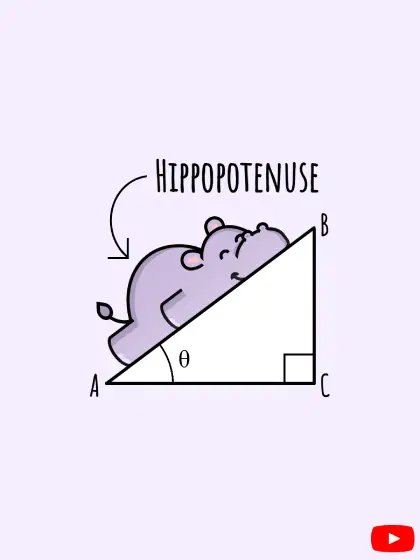 Hippopotenuse